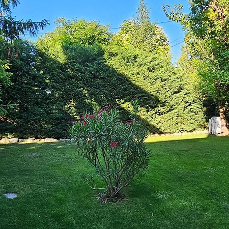 Fuered Deluxe Garden Apartment Balatonfured Exterior photo